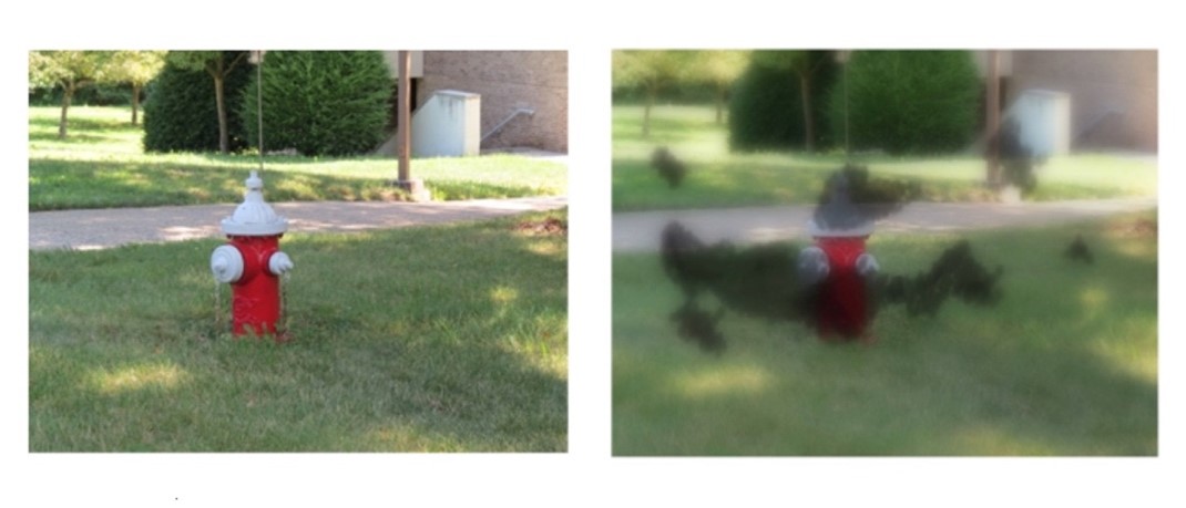 Image 1:  A red fire hydrant with a white top and spigots surrounded by grass with a walkway and bushes in the background. Image 2:  A red fire hydrant with a white top and spigots surrounded by grass with a walkway and bushes in the background.  The image is blurred and cloudy, and there are dark gray, irregular smudges covering random parts of the image. 