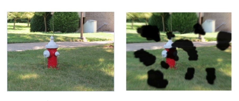 Image 1:  A red fire hydrant with a white top and spigots surrounded by grass with a walkway and bushes in the background. Image 2:  A red fire hydrant with a white top and spigots surrounded by grass with a walkway and bushes in the background.  The image is blurred and there are black, irregular smudges covering random parts of the image. 